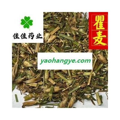 瞿麥 統(tǒng) 顏色好 供應(yīng)各種中藥材 產(chǎn)地 河北省