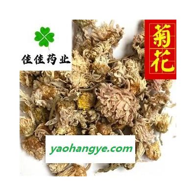 菊花 選 實物圖 白菊花 藥用菊花 實物圖 新貨 顏色好 干度好 產地 河北省