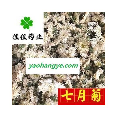 菊花 選 七月菊 無硫貨 茶用菊花 味道好 品質保證 產地 安徽省