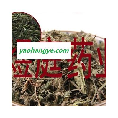 煜庭藥業 野生爵床草 凈選 小青草