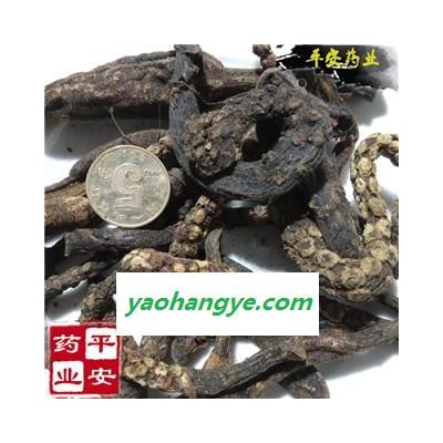 優(yōu)質(zhì)無雜 鹿仙草 不上蓮 通天蠟燭 石上蓮 山菠蘿 筒鞘蛇菰 蛇菇