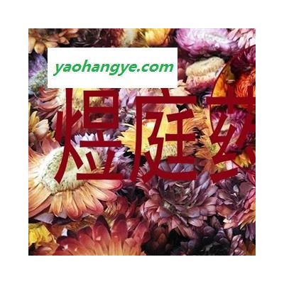 煜庭藥業 七彩菊 菊花 七彩菊花 正品