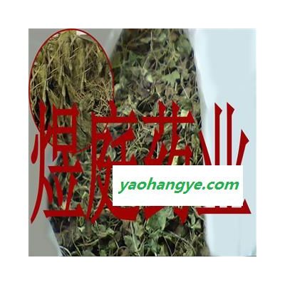 煜庭藥業(yè) 細辛葉 遼細辛 統(tǒng)貨 無土無雜