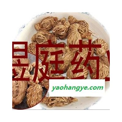 煜庭藥業(yè) 頭頂一棵珠 頭頂一顆珠 玉兒七 佛手七 黃花三七 尸兒七 芋兒七 獅兒七