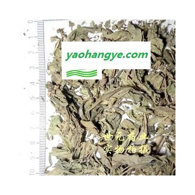 世元藥業(yè) 地膽草 正品 別稱丁茄夫 地苦膽 丁伽夫 地膽頭 苦地膽 正品 優(yōu)質(zhì) 促銷