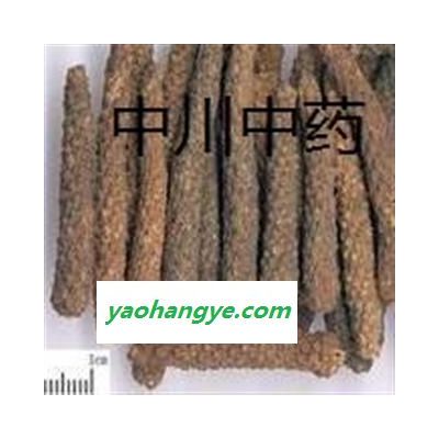 蓽茇  海南一級(jí)統(tǒng)貨  庫(kù)存5000可售