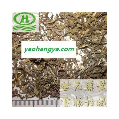 世元藥業(yè) 筋骨草 正品 別稱(chēng)-白毛夏枯草 白毛過(guò)冬青 雪里青 見(jiàn)血青 紫背金盤(pán) 破血丹 散血丹 白喉草 青魚(yú)膽草 透骨消 活血草 一盞燈