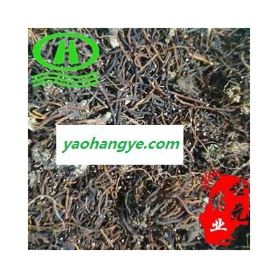 世元藥業(yè) 福壽草 正品 獻(xiàn)歲菊 雪蓮 長春菊 歲菊 冰里花 頂冰花 冰涼花 雪蓮花 冰郎花