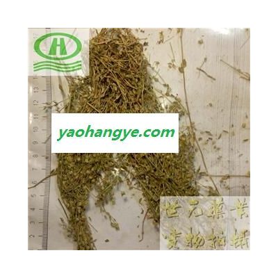 世元藥業(yè) 小米草 正品 別稱-芒小米草 藥店診所專供批發(fā)各種中藥