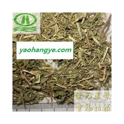 世元藥業 萹蓄 正品 扁竹 扁茿 畜辯 扁蔓 扁蓄 地扁蓄 編竹 扁畜 粉節草 道生草 扁竹 扁竹蓼 烏蓼 大蓄片 野鐵掃把 路柳 疳積藥 斑鳩臺 螞蟻草 豬圈草 桌面草 路邊草 七星草 鐵片草 竹節