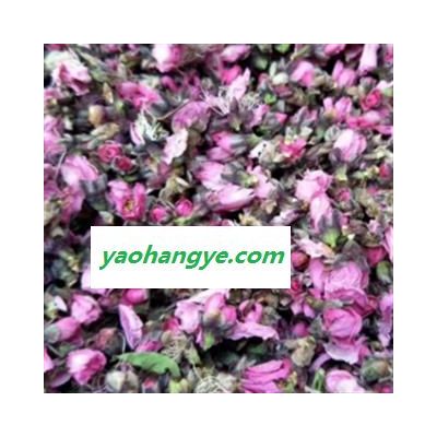 新輝藥業(yè)桃花  山桃花