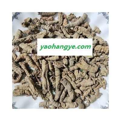 巴戟天 巴戟肉三級個0.4 產(chǎn)地 廣西壯族自治區(qū)