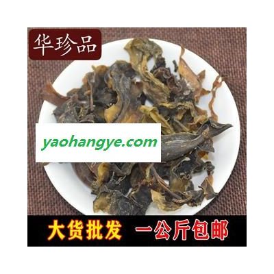 昆布 01 昆布 統 產地 廣西壯族自治區桂林市市轄區