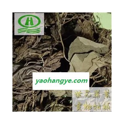 世元藥業(yè) 細辛葉 遼細辛葉 細參 新貨【全品除塵中藥】