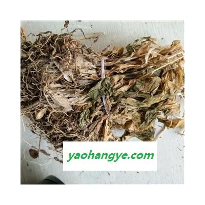 見血清 見血清水洗統(tǒng)貨 正品見血清 產(chǎn)地 江西省