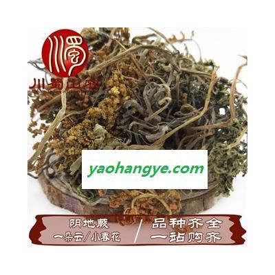 一朵云無硫統(tǒng)貨散裝1公斤起批小春花產(chǎn)地直供陰地蕨川蜀山農(nóng)中藥材批發(fā)