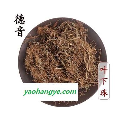 【滿包郵】葉下珠 統 1000g 別稱 一葉荻 葉屈珠、小粒蒿、花掃條、馬掃帚牙、小孩拳 產地 四川省