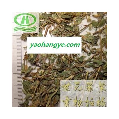 世元藥業(yè) 田字草 正品 別稱-四葉草 四葉蘋 水草頭 水金花頭 野草頭 野連菜 野極菜 十字草 妹妹草 破銅錢草 夜里串 夜爬山