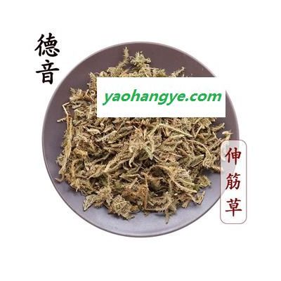 【滿包郵】伸筋草 統貨 產地云南 1000g 中藥材批發 規格齊全