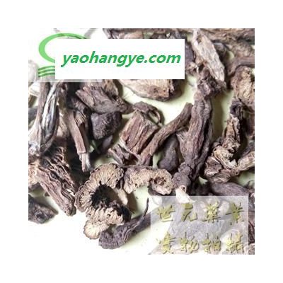 世元藥業 白頭翁 甘肅產  菊菊苗 老翁花 老冠花 貓爪子花【全品除塵中藥】