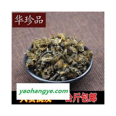 虻蟲 02 虻蟲 大號 產地 內蒙古自治區