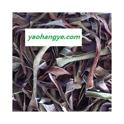 靈吉藥業(yè)  蘆薈葉  精選 正品  蘆薈葉