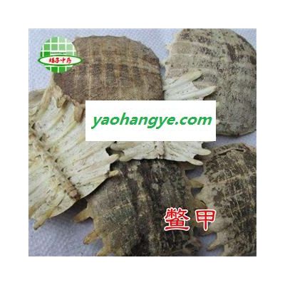 鱉甲 生鱉甲 統(tǒng)貨 產(chǎn)地 湖北省 買好藥找娟子