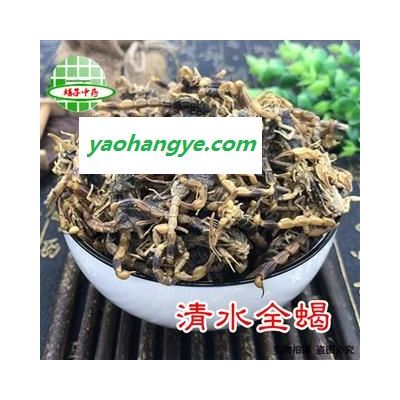 全蝎  陜西清水 全干 全蝎 全蟲 產(chǎn)地 寧夏回族自治區(qū) 買好藥找娟子 專業(yè)批發(fā) 買好藥找娟子