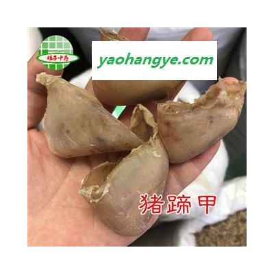 豬蹄甲 選貨  別名： 豬懸蹄 豬懸蹄甲 豬蹄合子 豬爪甲 豬退 產(chǎn)地 山東省 買好藥找娟子