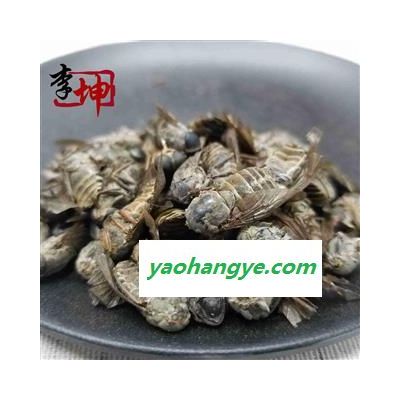 【包郵】虻蟲（250g） 正品四川產(chǎn) 大個(gè)貨不是陜西產(chǎn)的牛虻蟲【良心經(jīng)營 品種齊全】