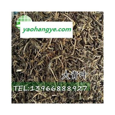 娟子中藥 大青葉 大青葉 統(tǒng)貨 產(chǎn)地 甘肅省