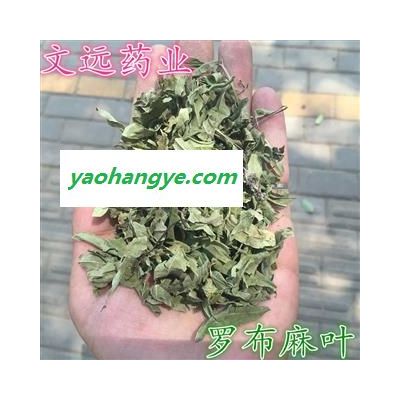 羅布麻葉 青色 統貨 產地 新疆維吾爾自治區