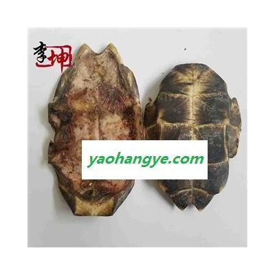 【99包郵】旱龜板 統個（500g） 浙江產  龜甲【良心經營 絕不摻假】