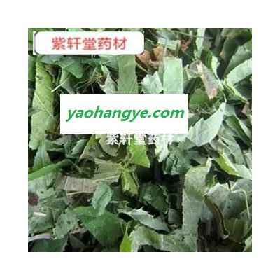 淫羊藿 仙靈脾 淫羊藿柔軟綠色  產(chǎn)地 吉林省