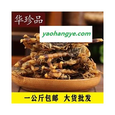 全蝎 01 淡鹽全蝎 七成干 產(chǎn)地 海外