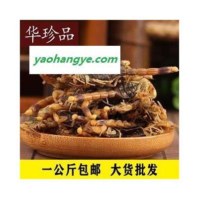 全蝎 淡鹽全蝎 九成干 產(chǎn)地 北京市