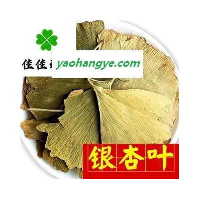 銀杏葉 好統(tǒng) 產(chǎn)地 山東省 量大從優(yōu) 新貨顏色好 供應(yīng)各種中藥材