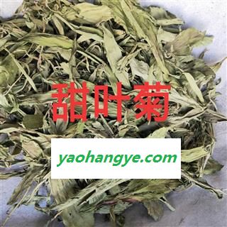 甜葉菊 產(chǎn)地直銷甜葉菊顏色青好統(tǒng)貨 產(chǎn)地 黑龍江省