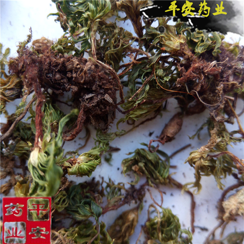 回心草180奇~04_副本.jpg